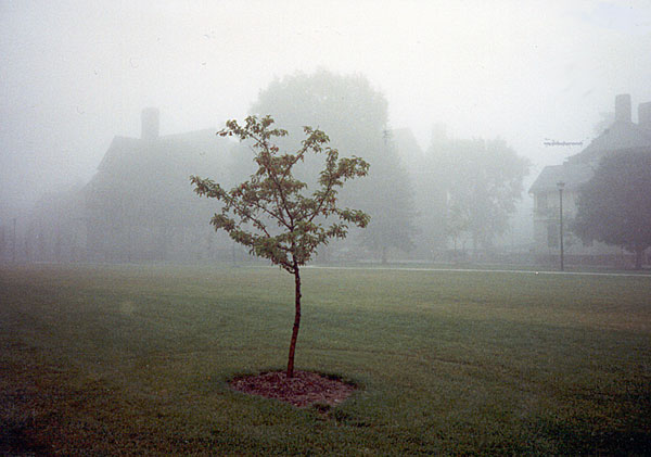 Foggy Morning at Oberlin College