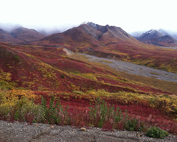 Denali National Park, Alaska