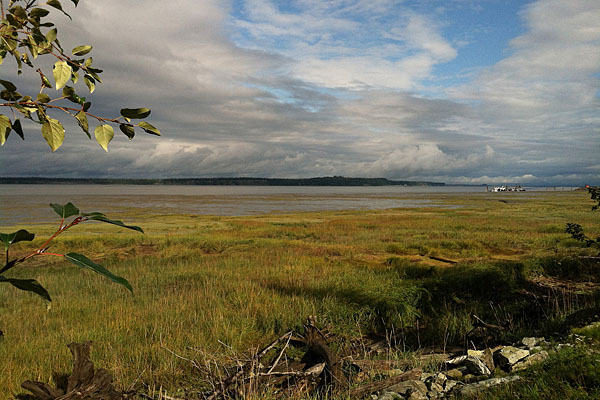 Tony Knowles Coastal Trail in Anchorage, Alaska