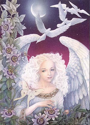 AMARIS by Judy J. King